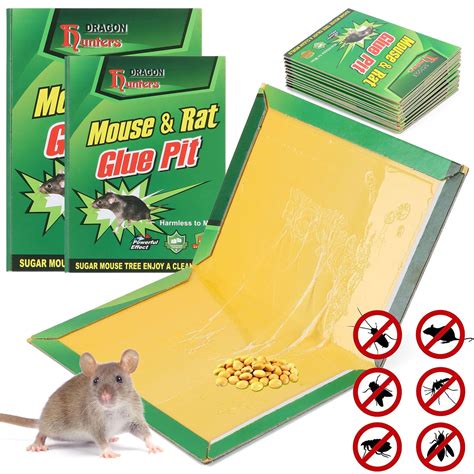 large glue mouse traps